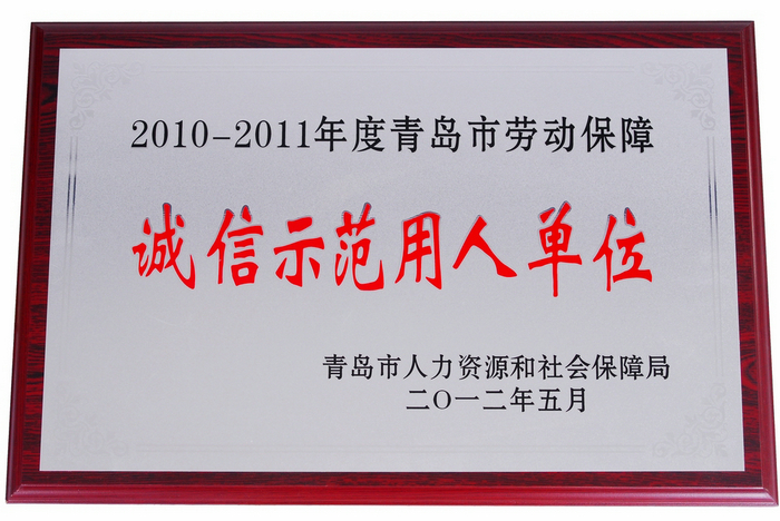 公司荣誉