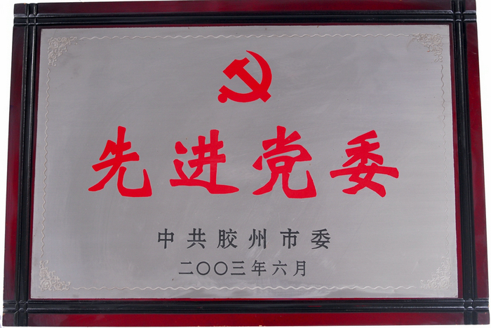 公司荣誉