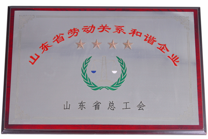 公司荣誉